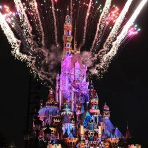 Momentous Disney Land