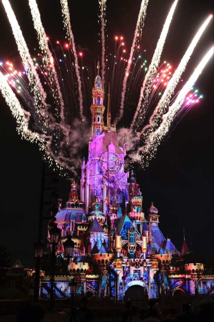 Momentous Disney Land